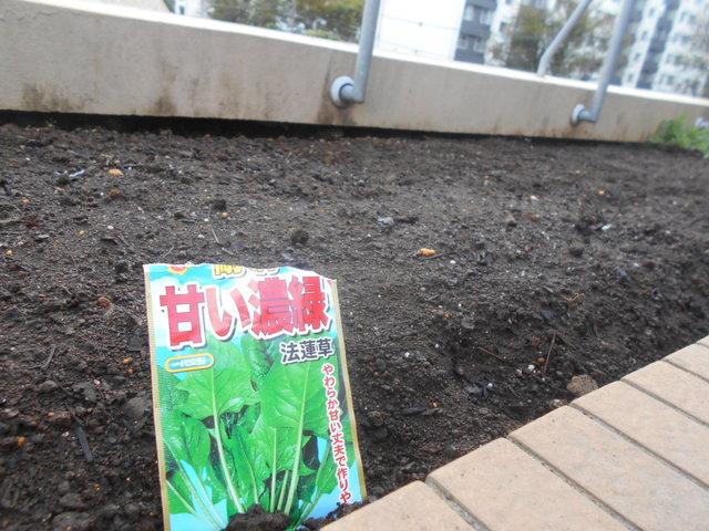 DSCN7612.JPG